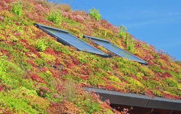 Torcross living roof systems