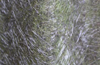 Torcross fibreglass roof work